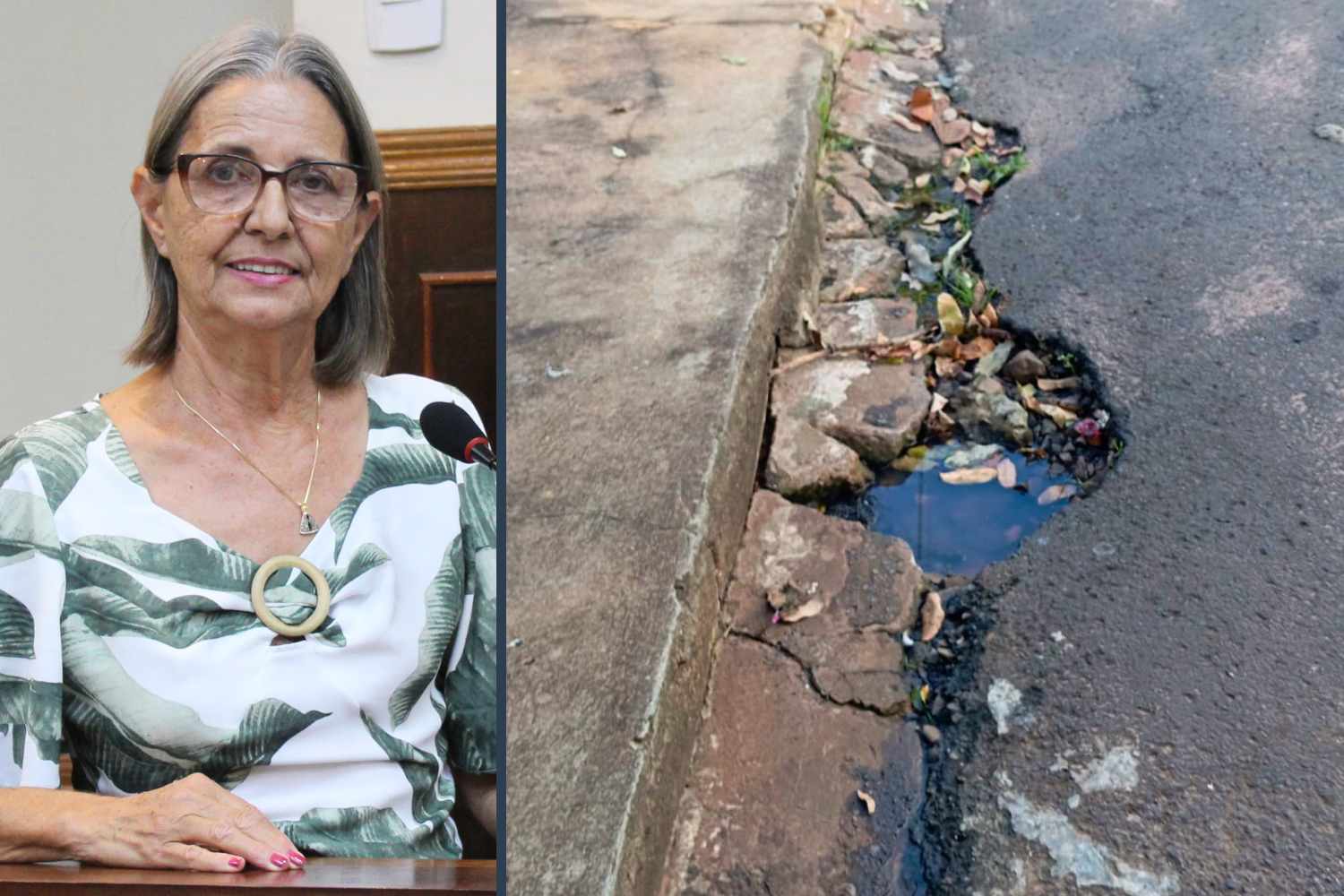 Vereadora Sônia Canato solicita ao Executivo Municipal serviço de tapa-buracos em local da Rua Júlio Cotrim no Centro