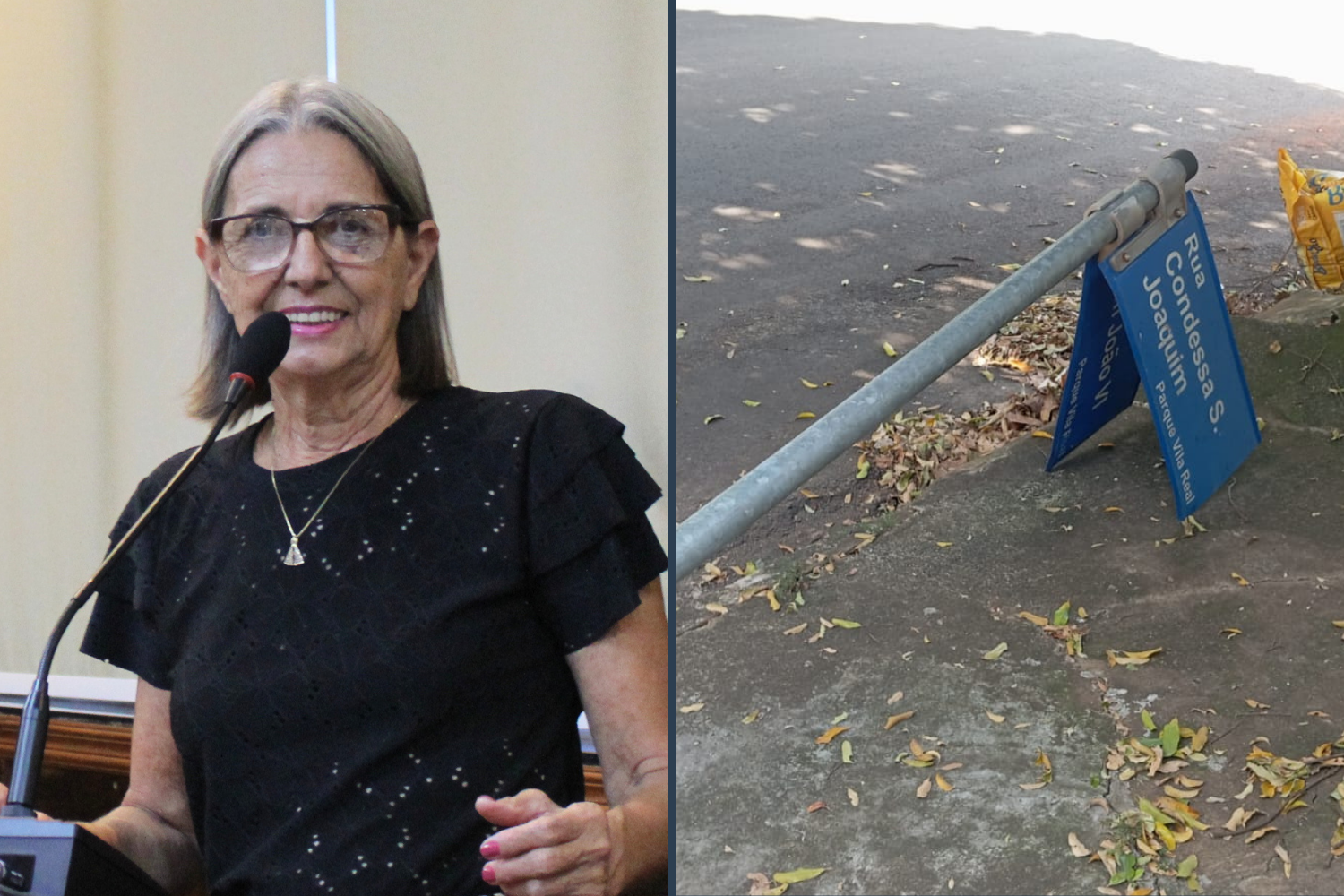 Vereadora Sônia Canato solicita ao Executivo Municipal conserto de placa de identificação que se encontra caída em via pública no Parque Vila Real