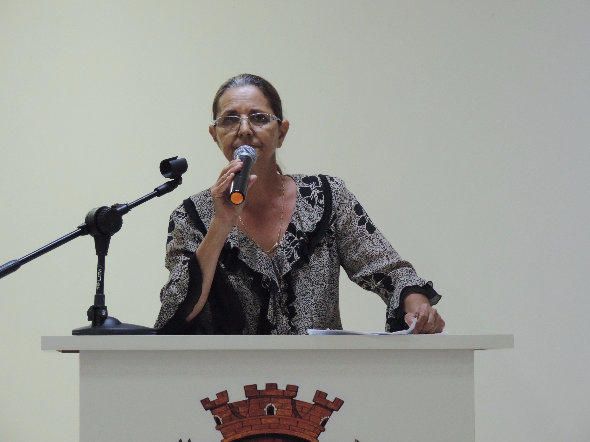 Vereadora Sônia Canato solicita ao Executivo construção de muro na Avenida José Willibaldo de Freitas 