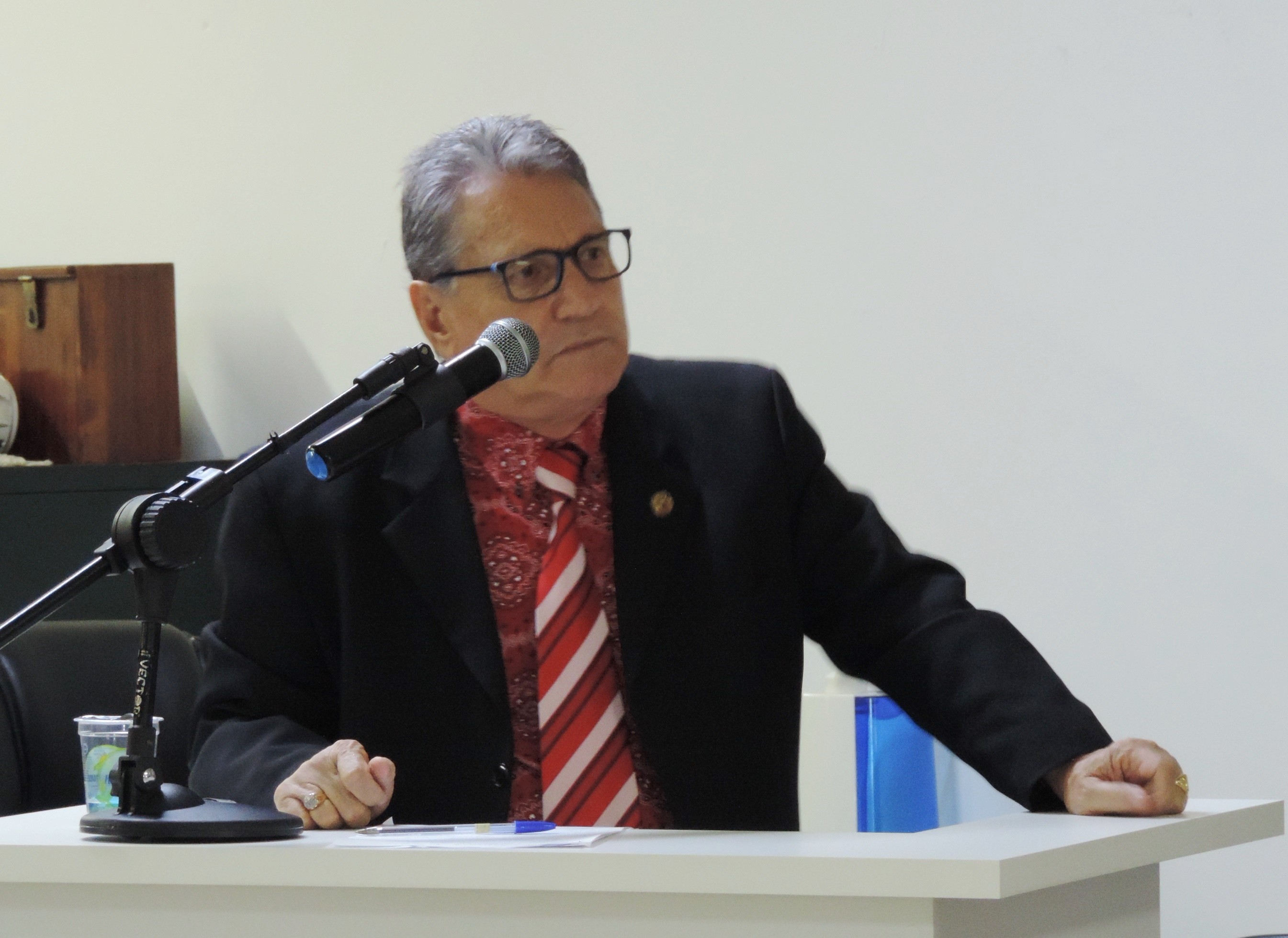 Vereador Nelsinho Luiz solicita ao Executivo poda de árvore em via do Jardim Alvorada