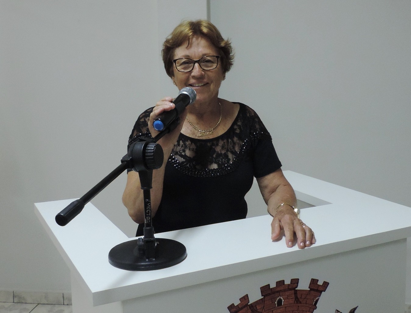 Legislativo aprova em primeira votação denominação de rua do Residencial Alto do Taquaral como "Francisca Hernandez Falzetta"