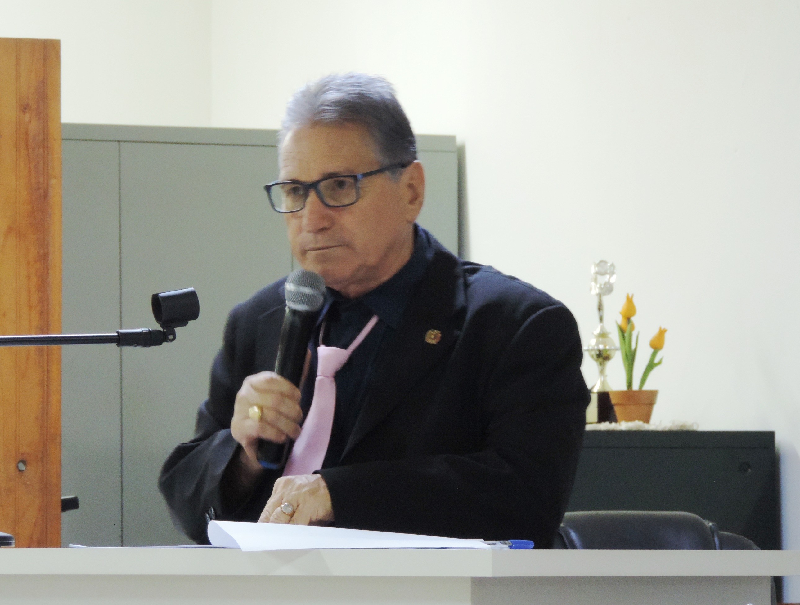 Vereador Nelsinho Luiz solicita ao Executivo limpeza de vias, terrenos e praças do Município