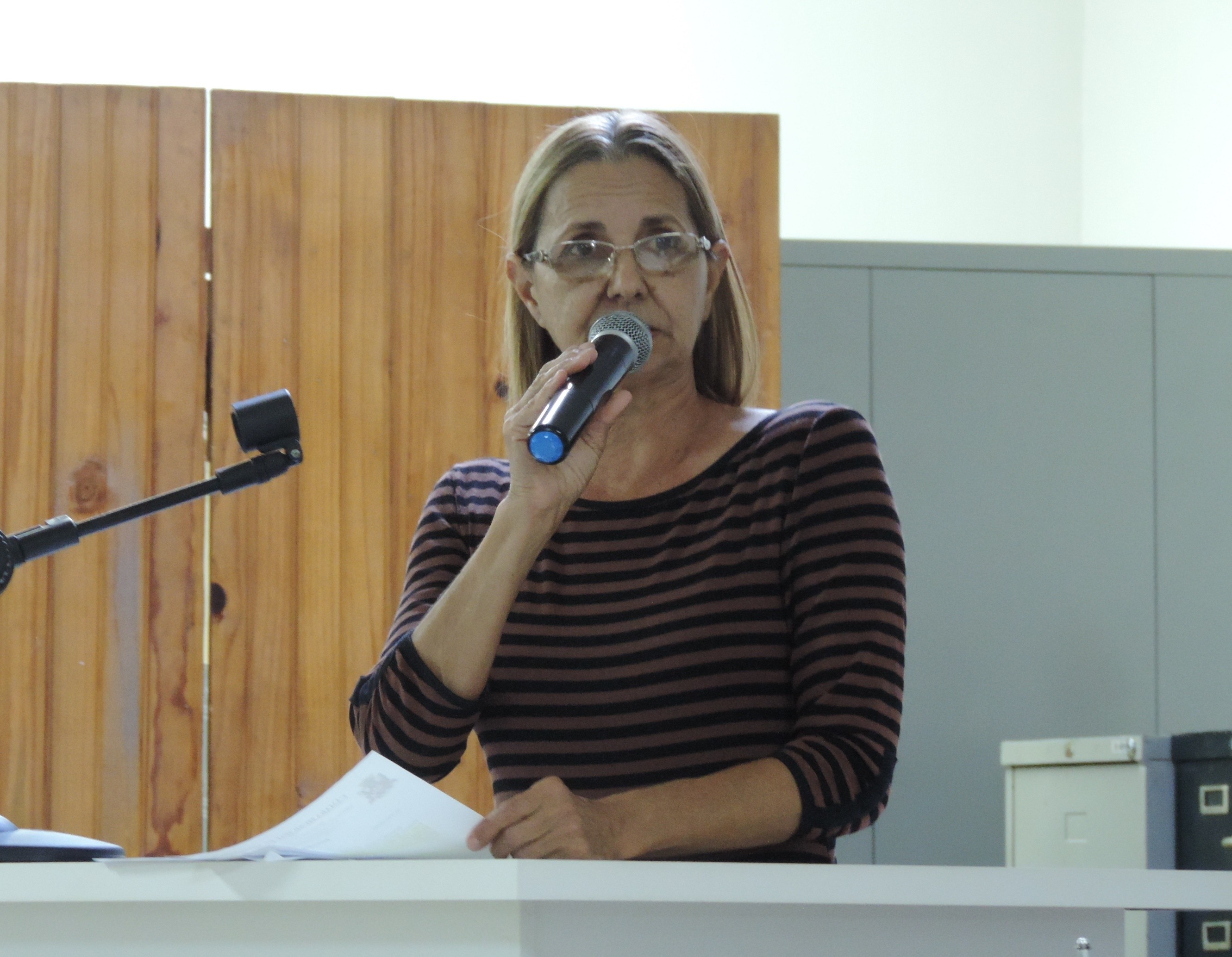 Vereadora Sônia Canato solicita ao Executivo construção de muro na Avenida "José Willibaldo de Freitas" 