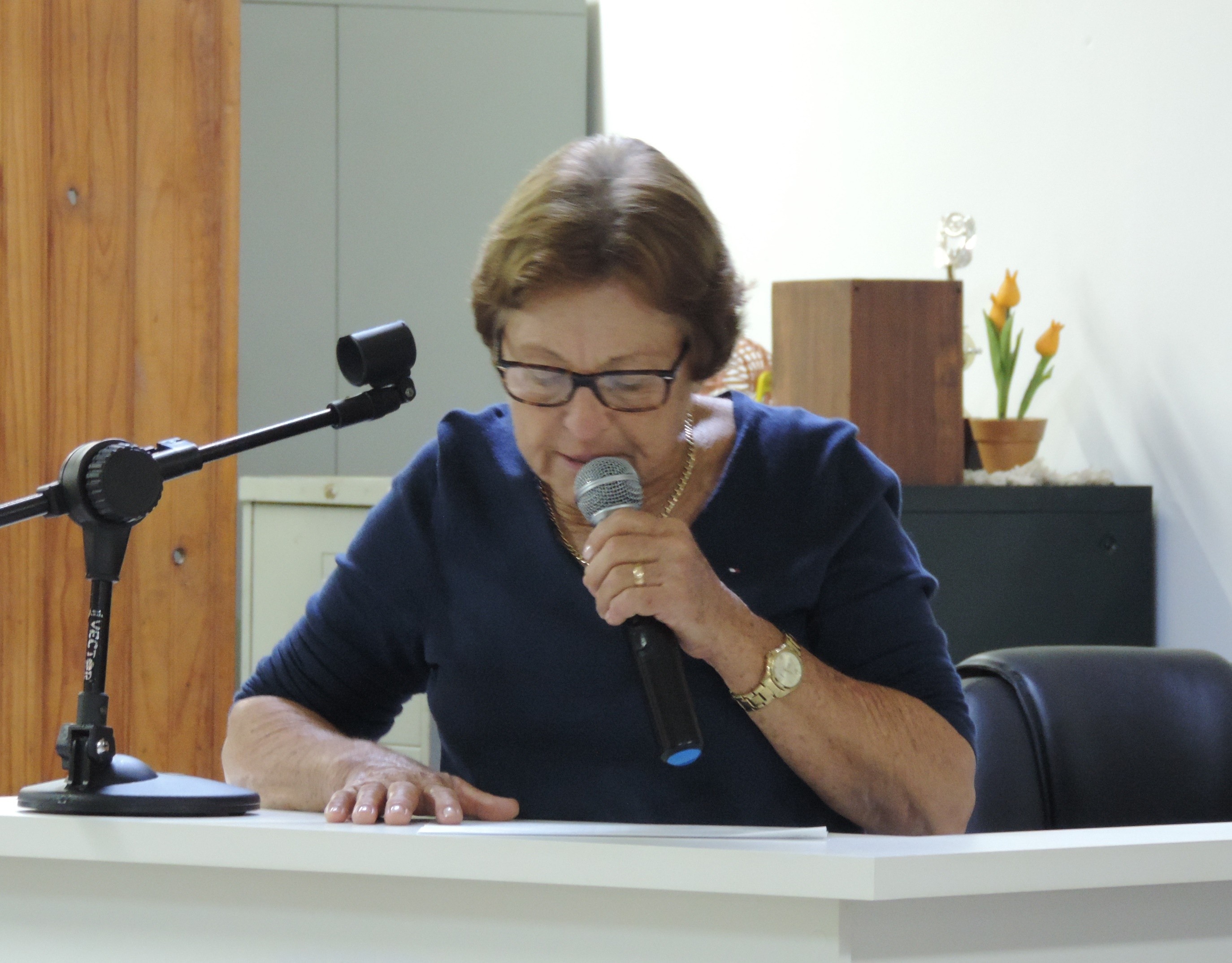 Vereadora Ivone Magri solicita ao Executivo possibilidade de colocar redutor de velocidade em via defronte à Pista de Skate