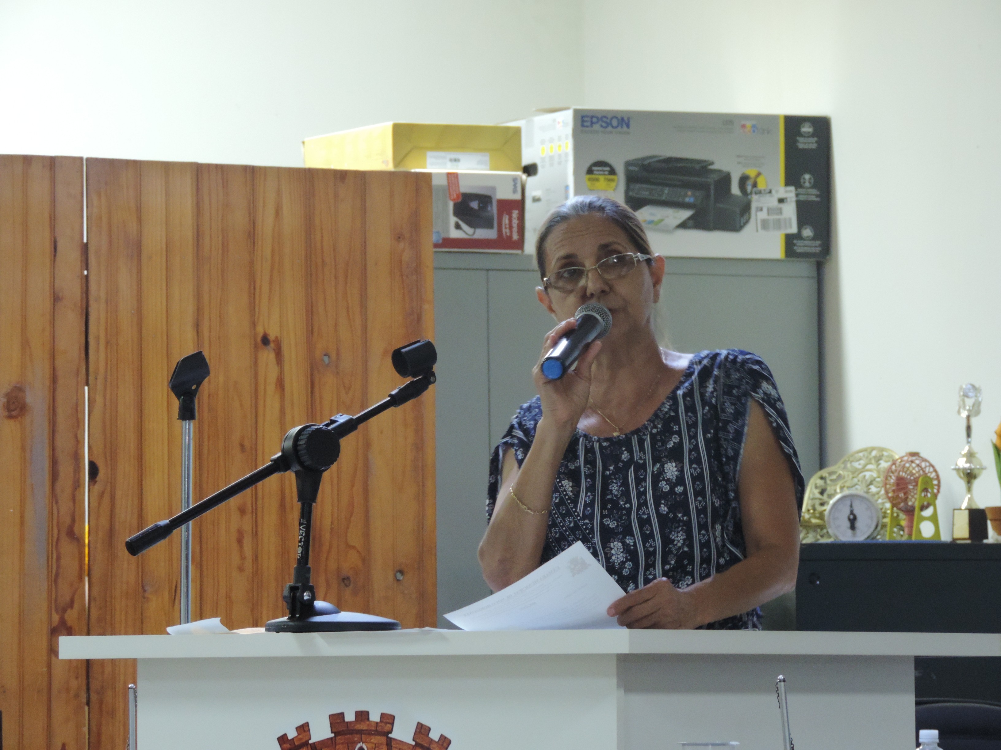  Vereadora Sônia Canato solicita ao Executivo reforma de passarela situada sobre o Córrego do Cardoso próximo ao Jardim América