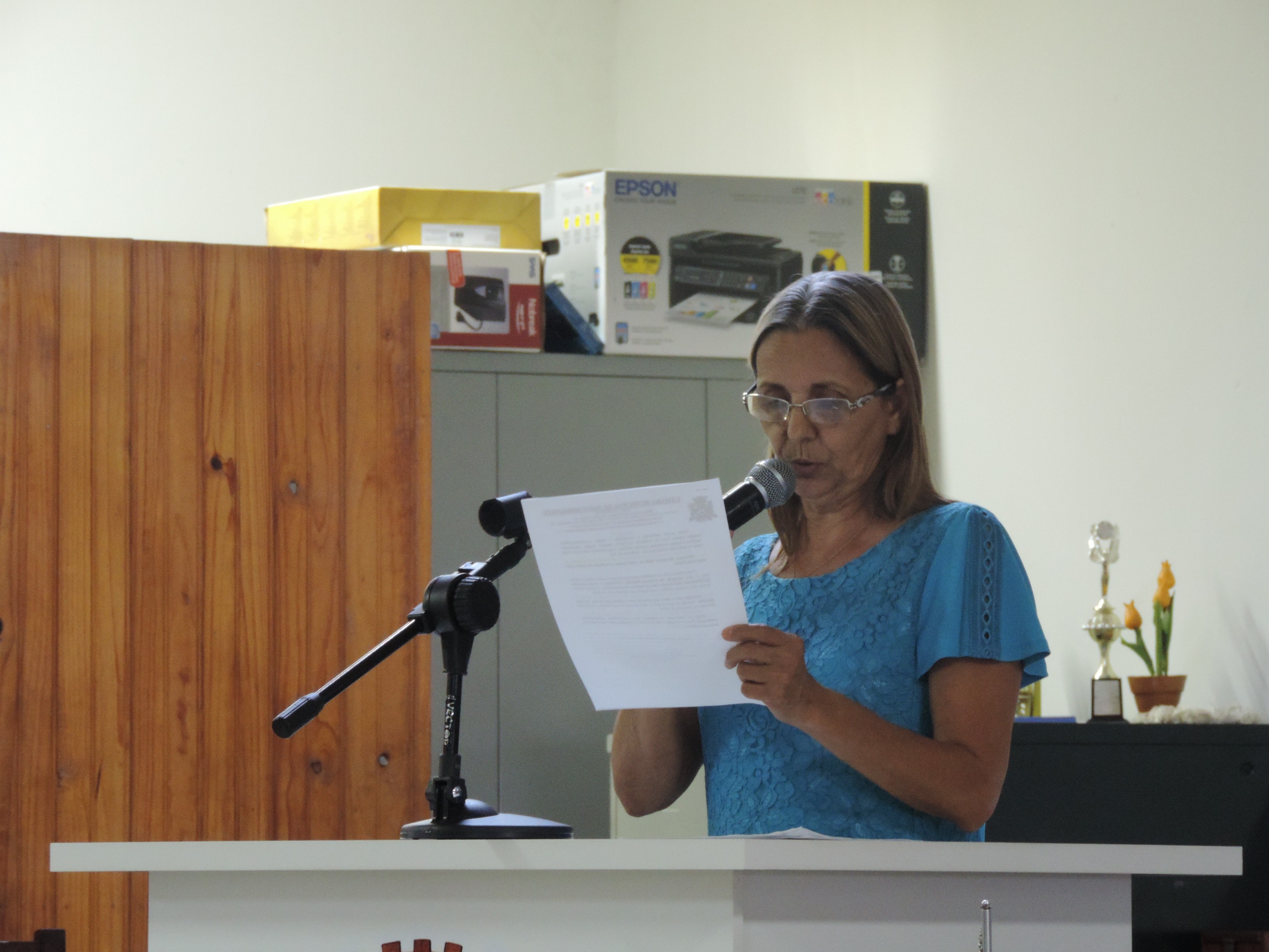 Vereadora Sônia Canato solicita ao Executivo coleta de galhos em vias do Centro e do Jardim São José 