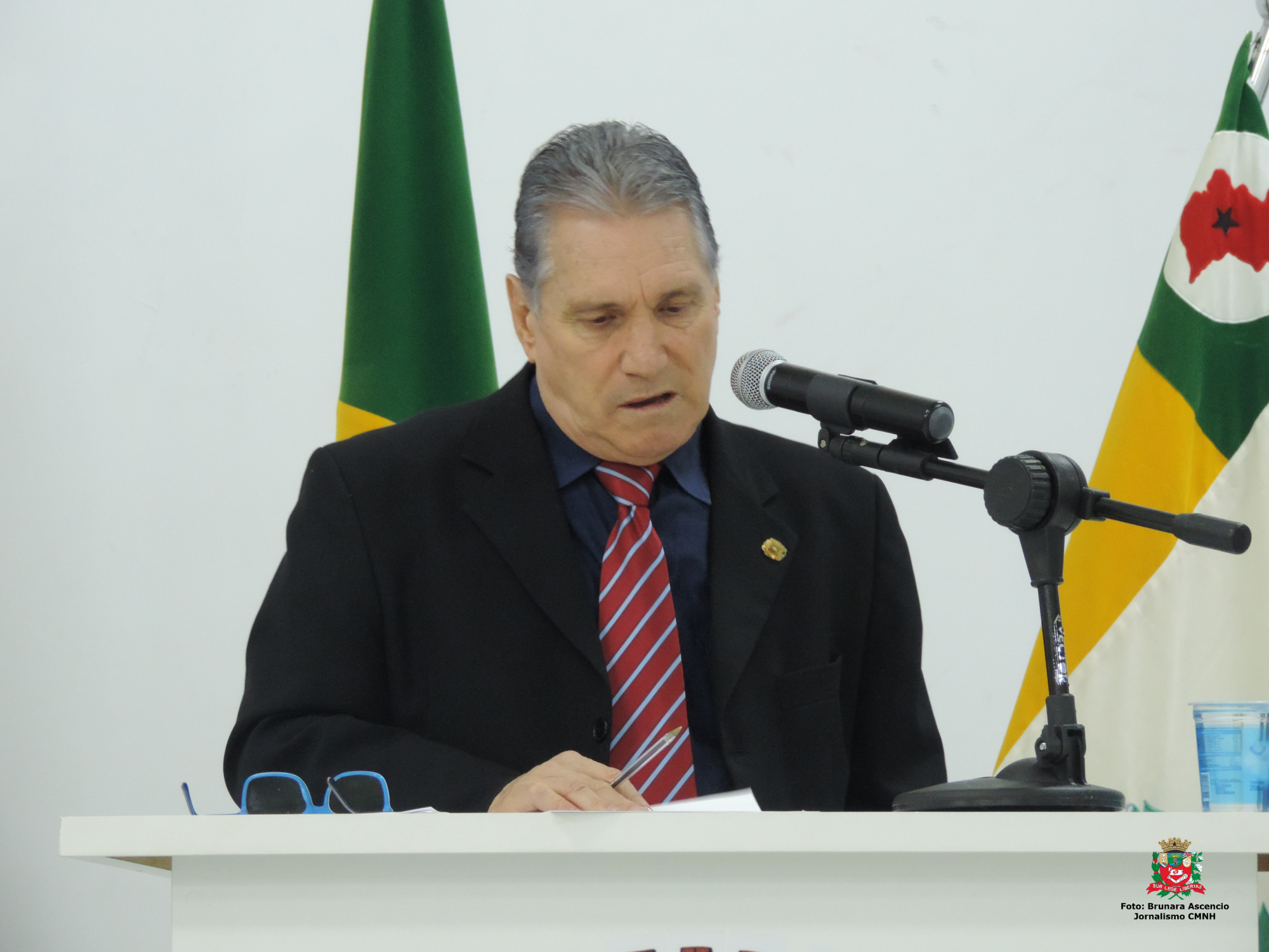 Vereador Nelsinho Luiz solicita ao Executivo Municipal coleta de galhos e folhas em várias vias públicas do Município