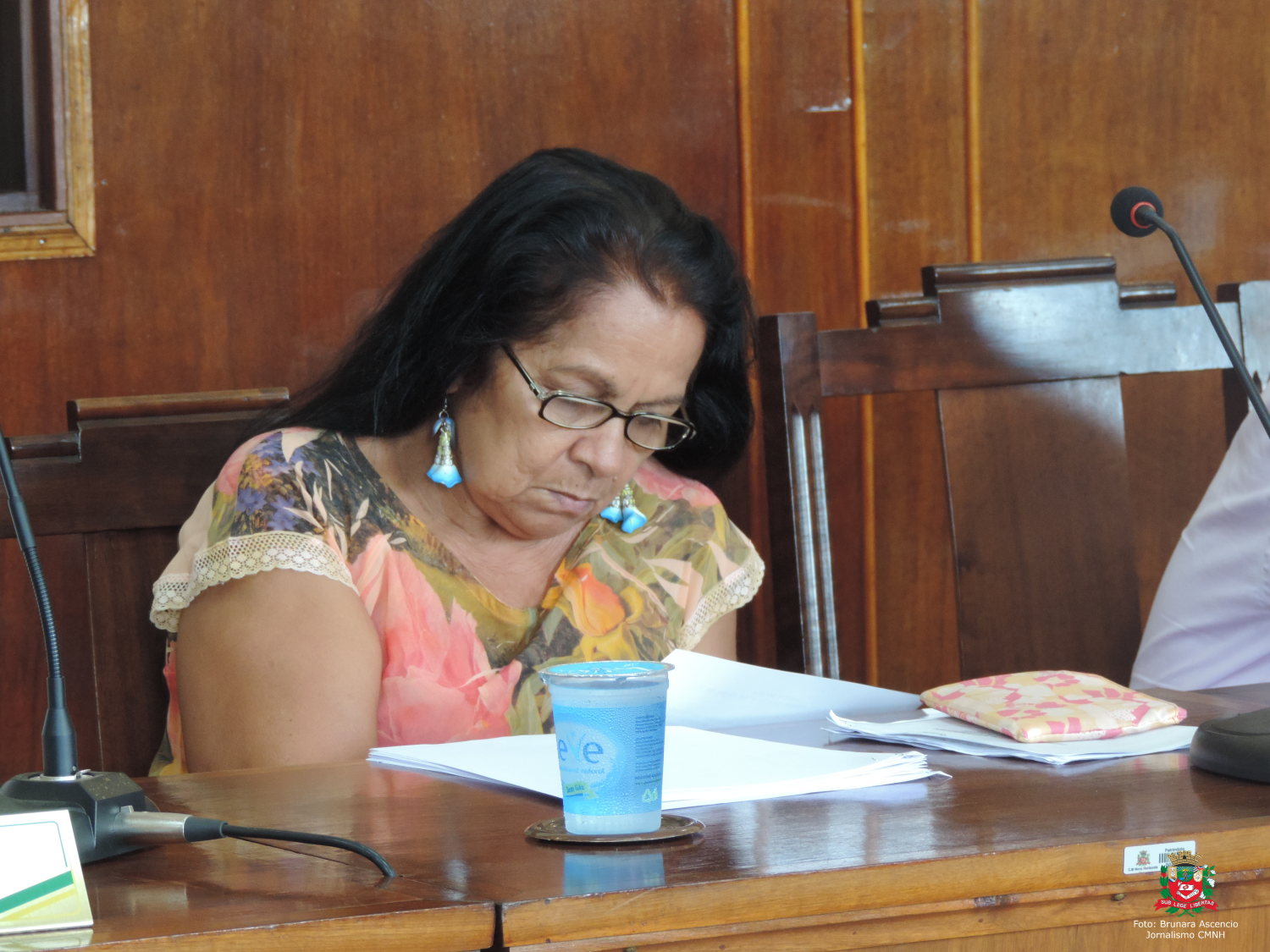 Vereadora Lúcia Andrioti concede Diploma "Beija-flor" a José do Carmo Belíssimo