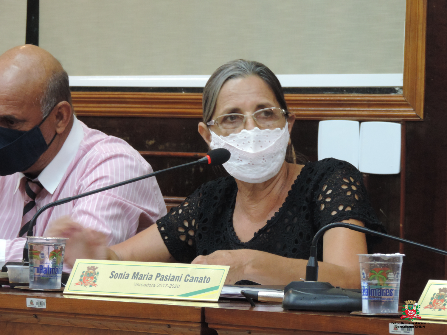 Vereadora Sônia Canato solicita ao Executivo Municipal instalação de redutores de velocidade ao longo de via pública