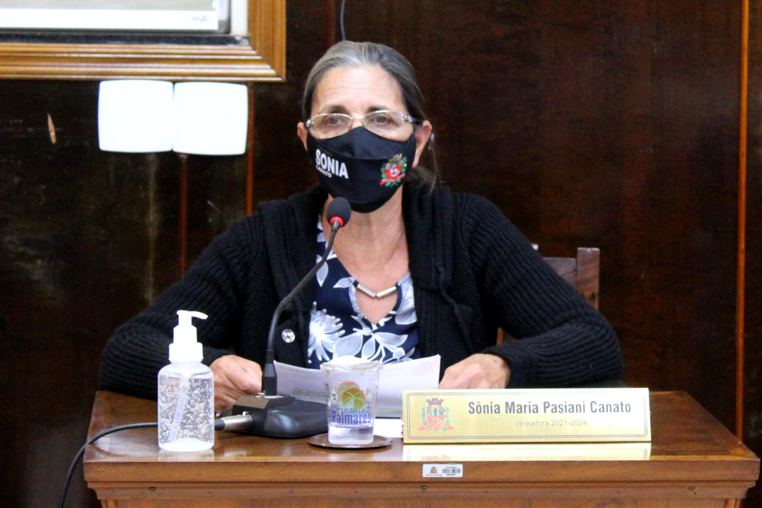 Confira as proposituras da Vereadora Sônia Canato na sessão ordinária de 19 de julho