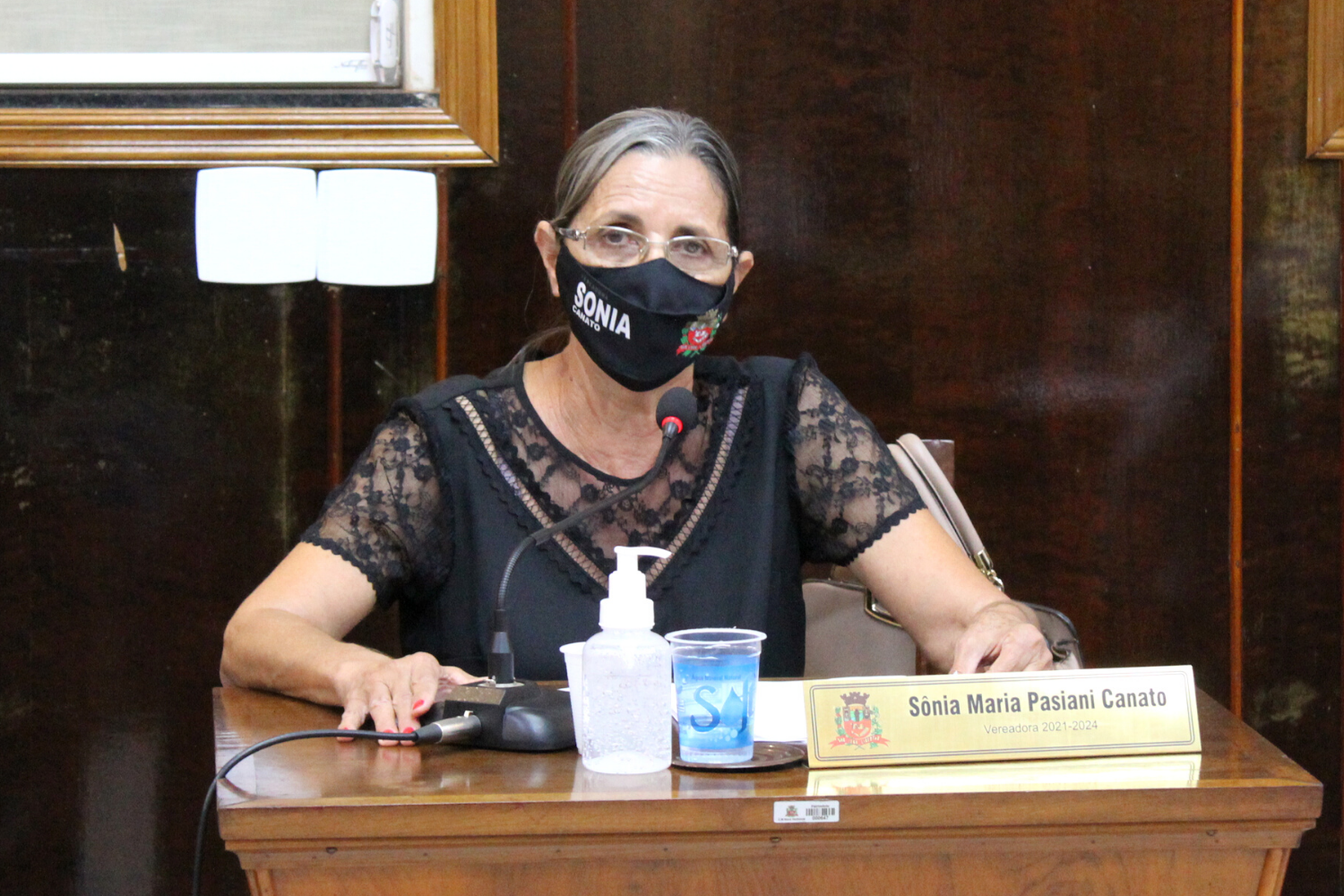 Confira as proposituras da Vereadora Sônia Canato na sessão ordinária de 18 de outubro