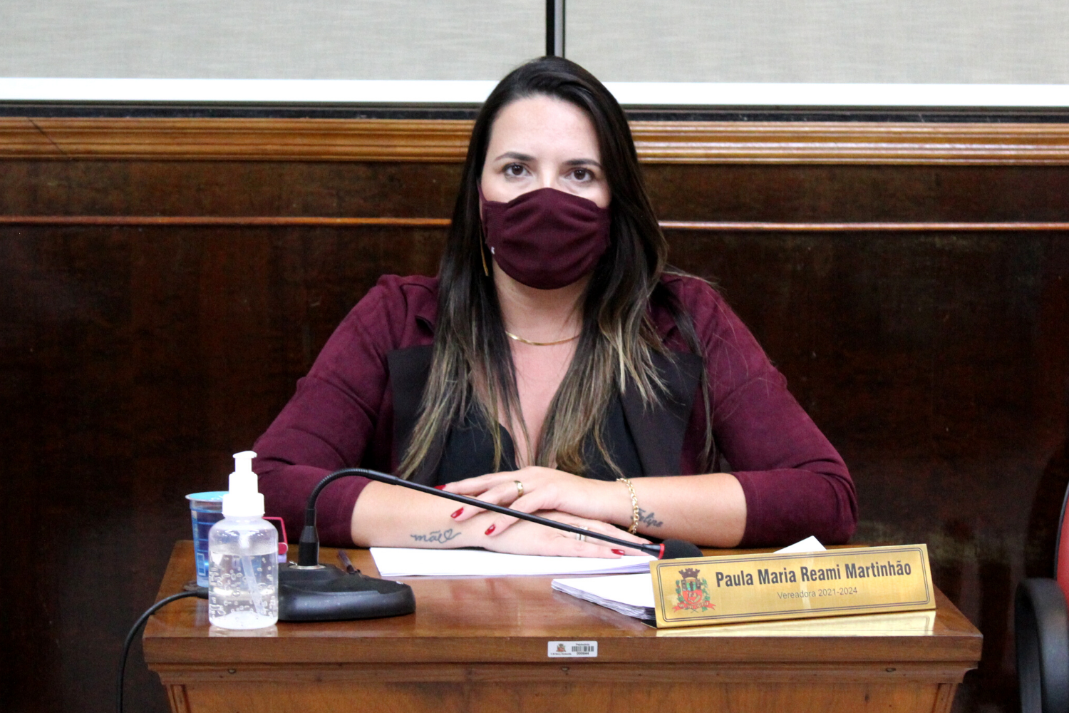 Confira a propositura da Vereadora Paula Reami da Ong na sessão ordinária de 16 de novembro