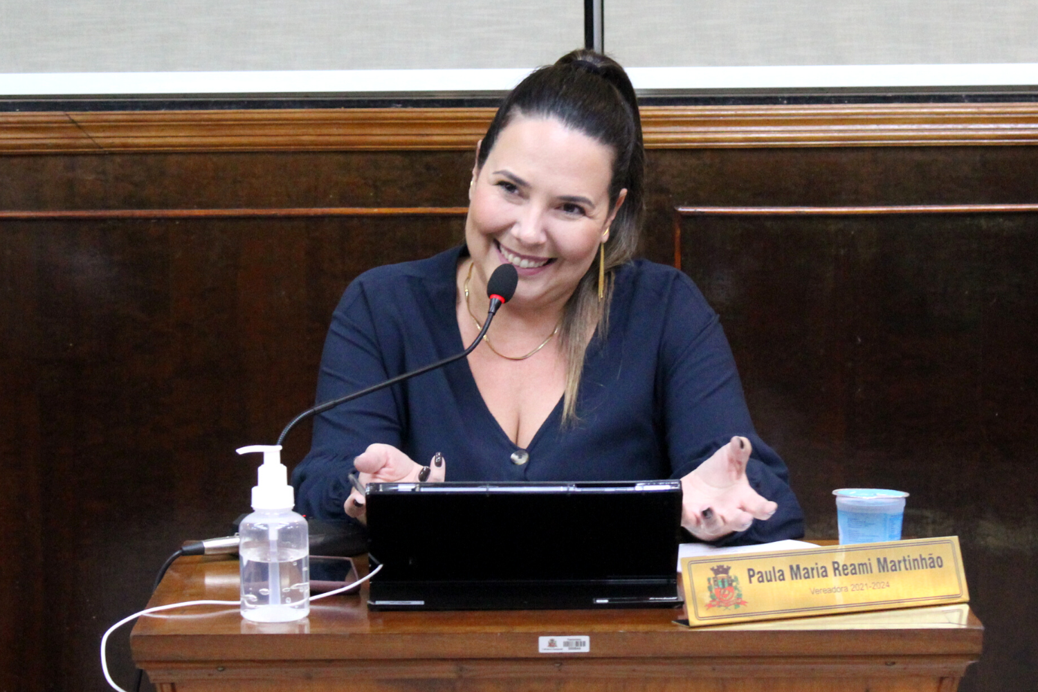 Confira as proposituras da Vereadora Paula Reami da Ong na sessão ordinária de 4 de julho