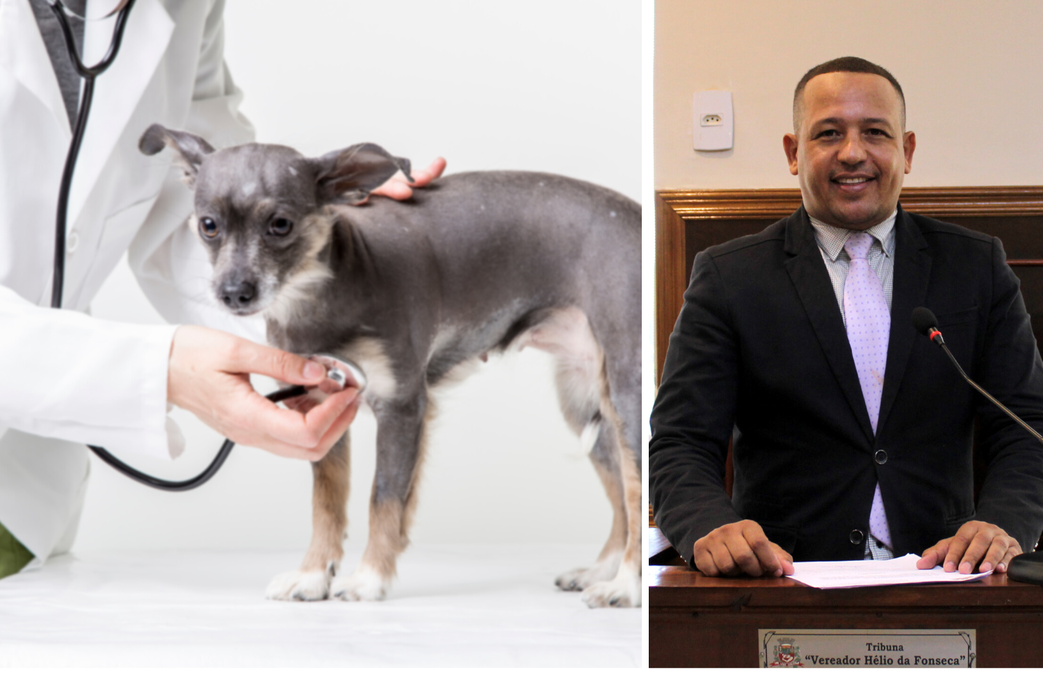 Vereador Carlos Henrique BGO solicita ao Prefeito Fabiano Belentani parceria com Faculdade de Veterinária para atendimento de animais doentes ou atropelados