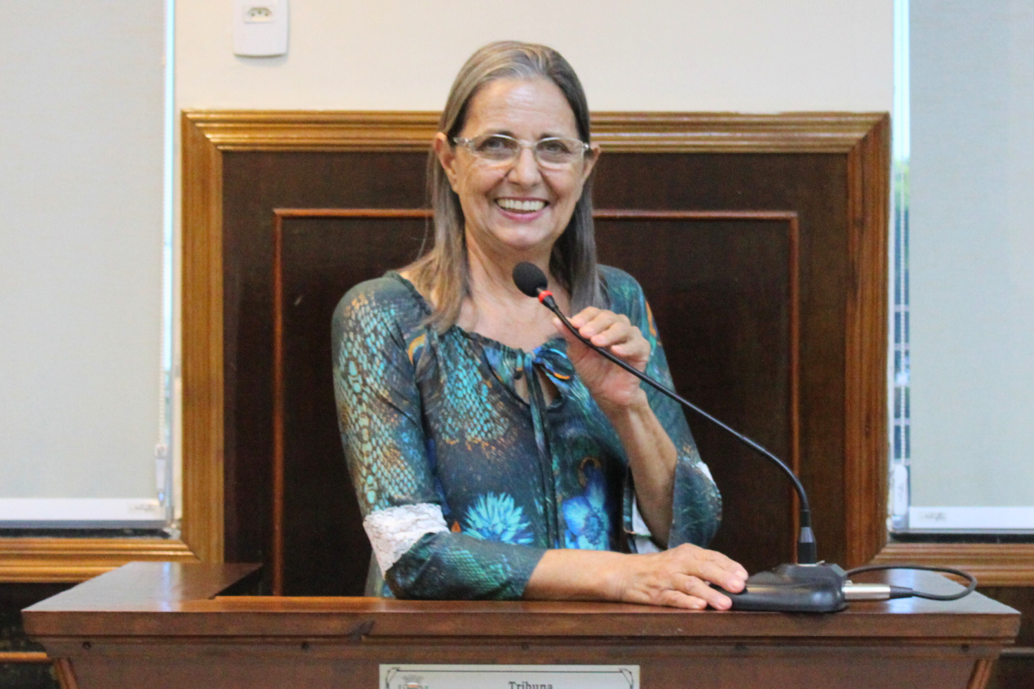 Confira as proposituras da Vereadora Sônia Canato na sessão ordinária de 15 de maio