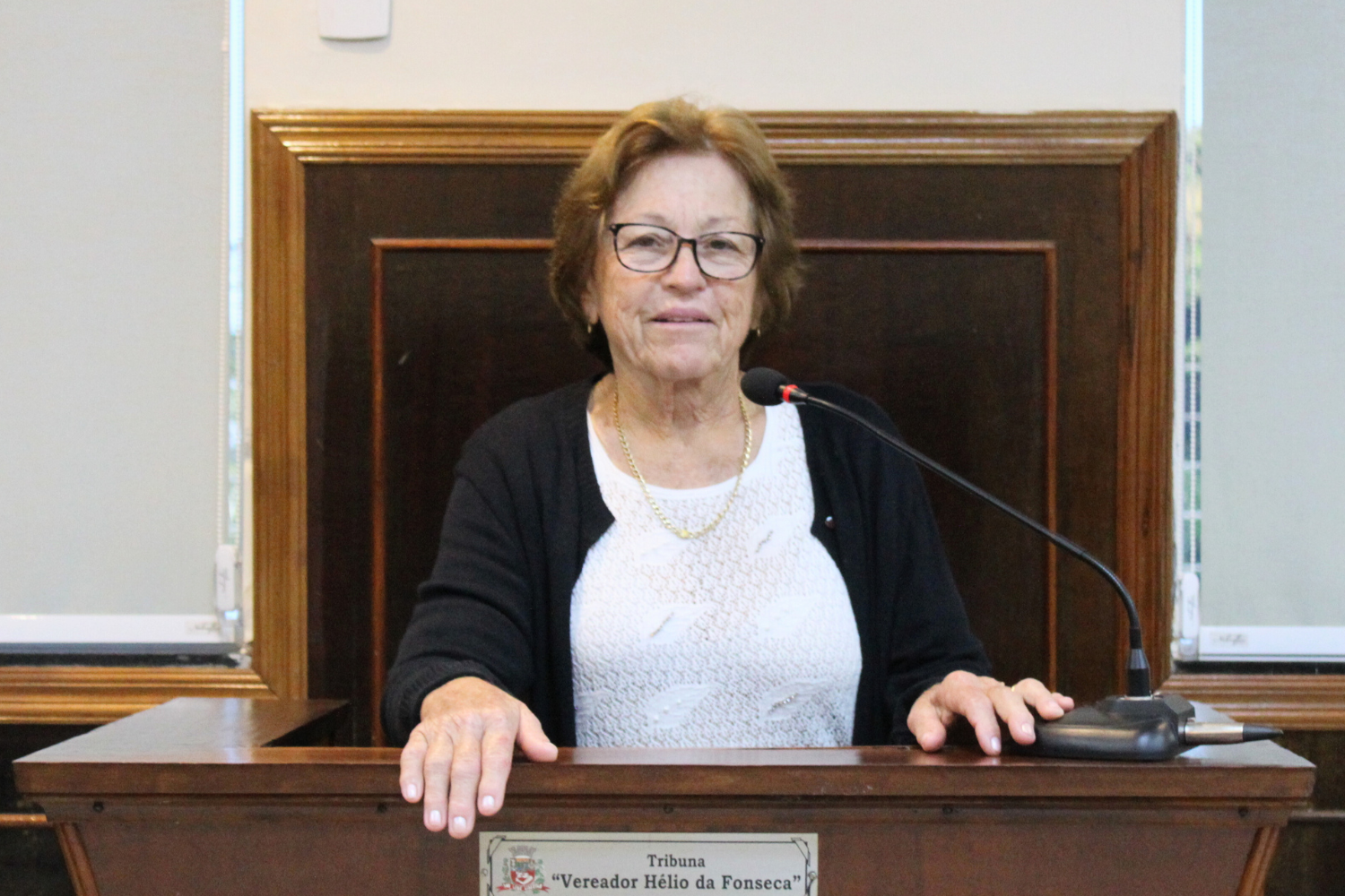 Confira as proposituras da Vereadora Ivone Ruiz na sessão ordinária de 3 de julho