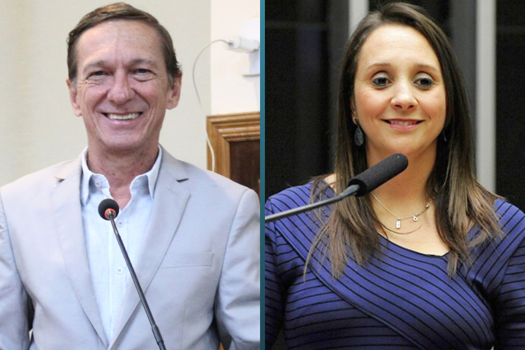 Vereador Vasquinho solicita à Deputada Federal Renata Abreu um caminhão para a coleta de lixo orgânico no Município