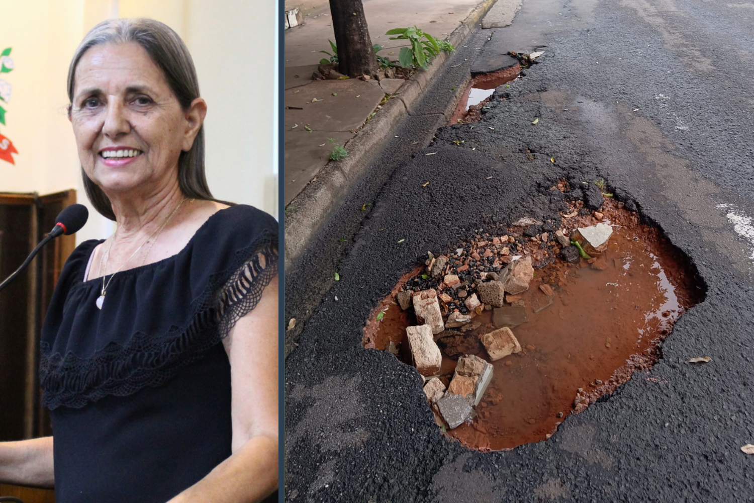 Vereadora Sônia Canato solicita ao Executivo Municipal serviço de tapa-buracos na Rua Tenente Ferreira