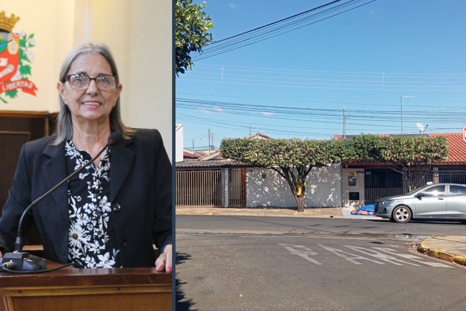 Vereadora Sônia Canato solicita ao Executivo Municipal instalação de placas denominativas na Rua Benedito Amâncio Soares no Jardim Popular