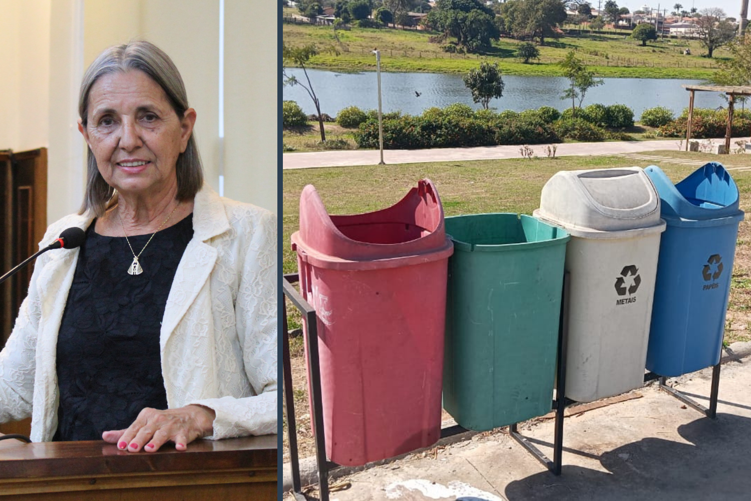 Vereadora Sônia Canato solicita ao Executivo Municipal manutenção das lixeiras instaladas no Parque Ecológico "Walter de Biasi Filho"