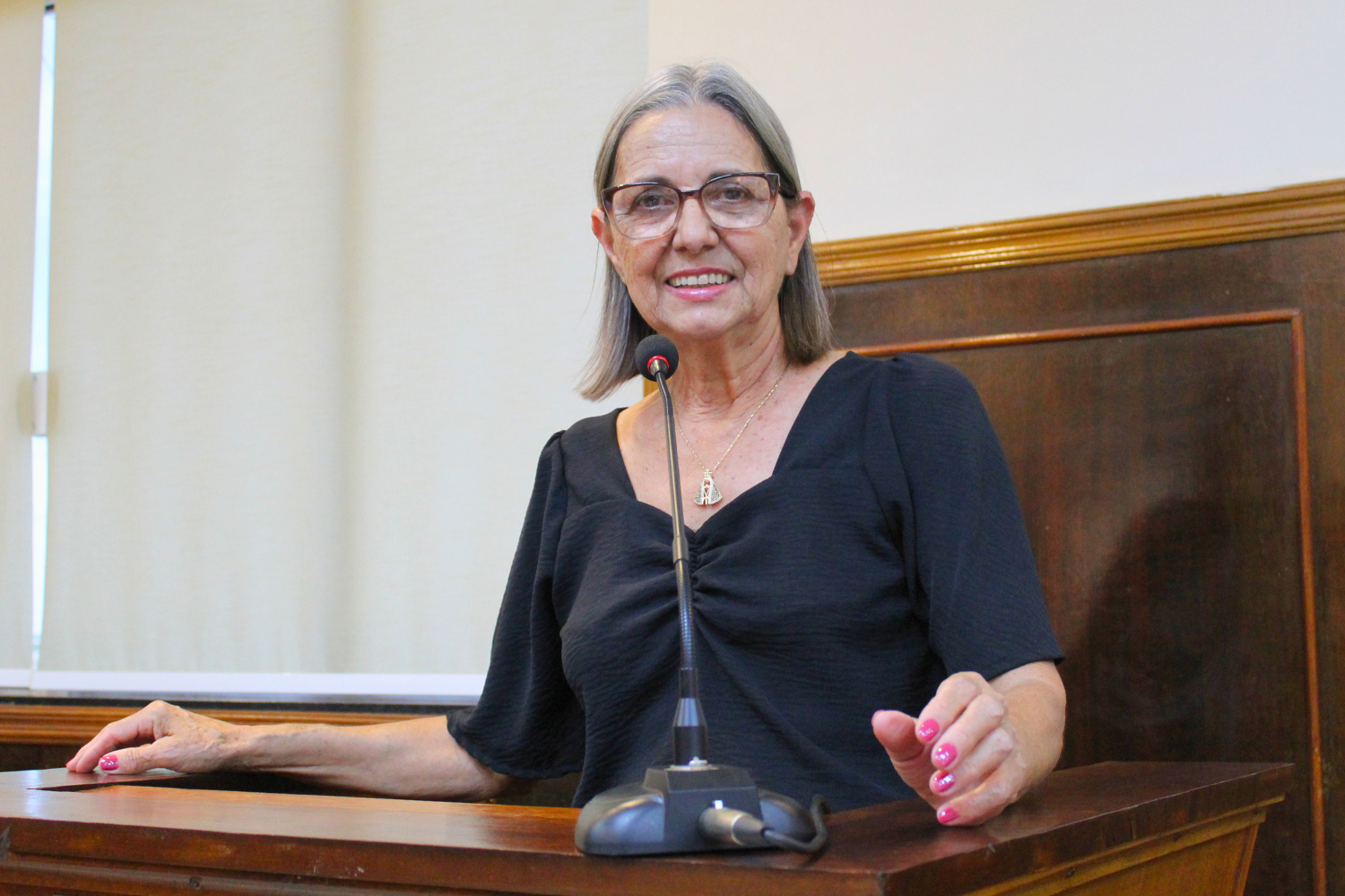Vereadora Sônia Canato solicita ao Executivo Municipal manutenção da passarela localizada sobre o Córrego do Cardoso bem como a retirada das placas de cimento existentes dentro do córrego