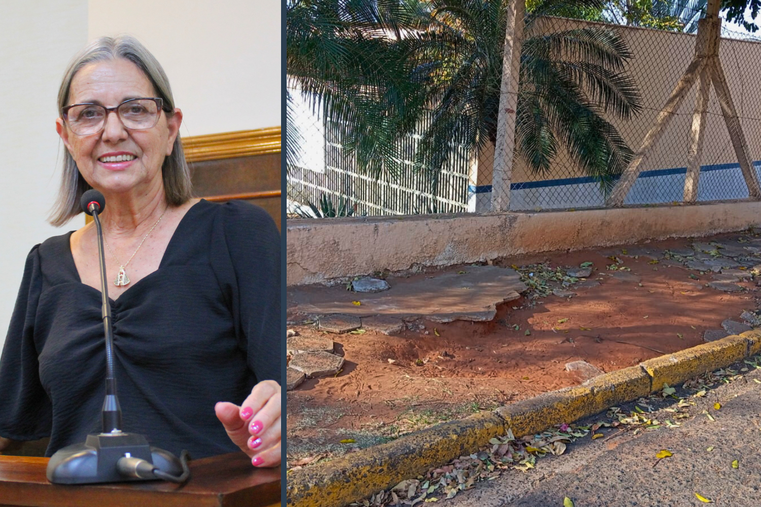 Vereadora Sônia Canato solicita ao Executivo Municipal reparos em calçada da escola FAF
