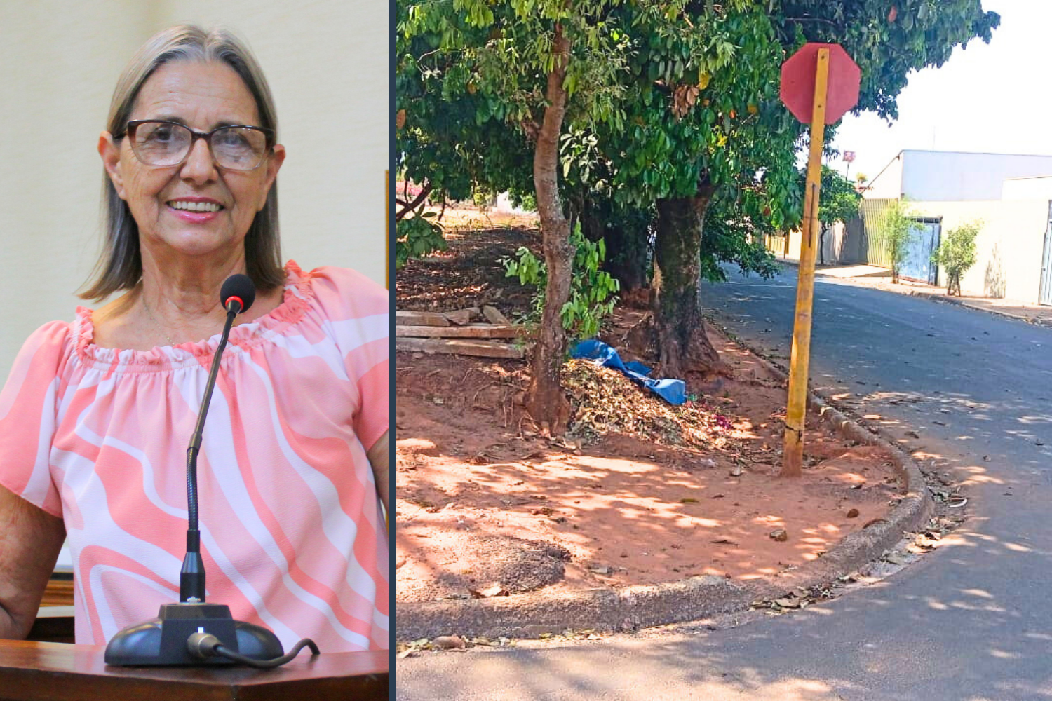 Vereadora Sônia Canato solicita ao Executivo Municipal manutenção em cruzamento na Vila Bauman