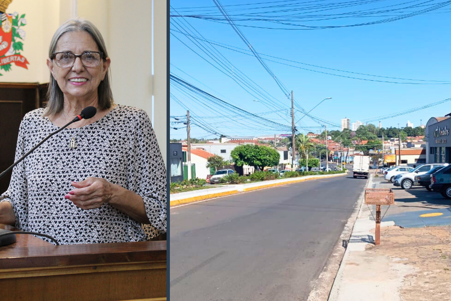 Vereadora Sônia Canato solicita ao Executivo Municipal redutor de velocidade nas proximidades da Associação Pequeno Ninja